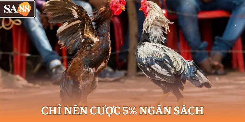 Chiến lược an toàn là chỉ cược 5% ngân sách