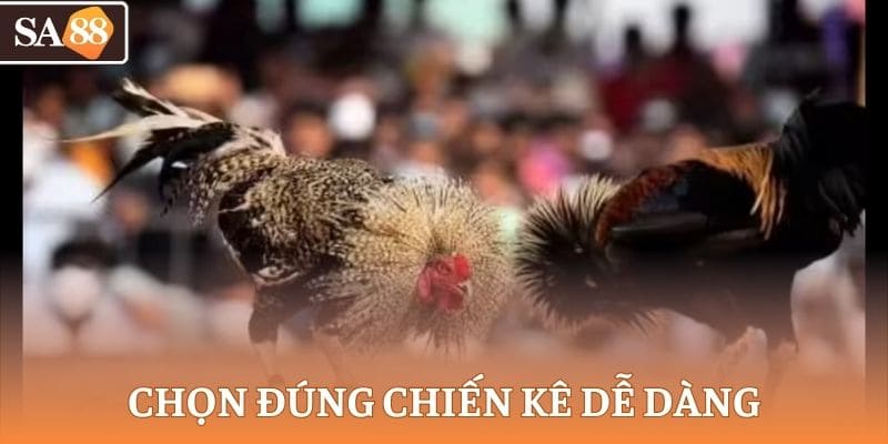 Chọn đúng chiến kê quyết định phần lớn cơ hội thắng