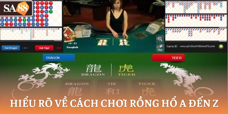 Hiểu rõ về cách chơi rồng hổ a đến z